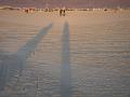 Long morning shadows on the playa 2